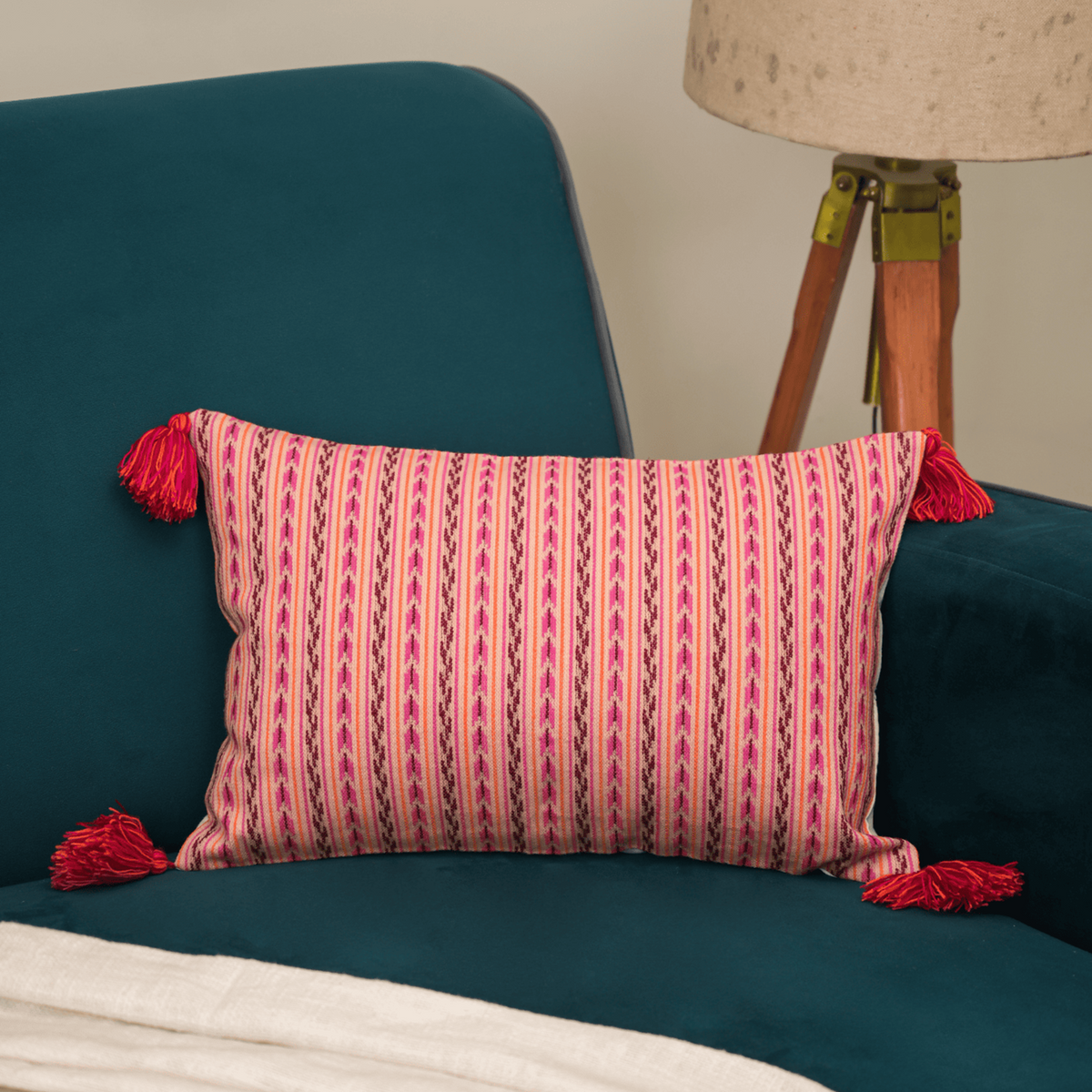Rani Stripe Tassel Cushion Cover