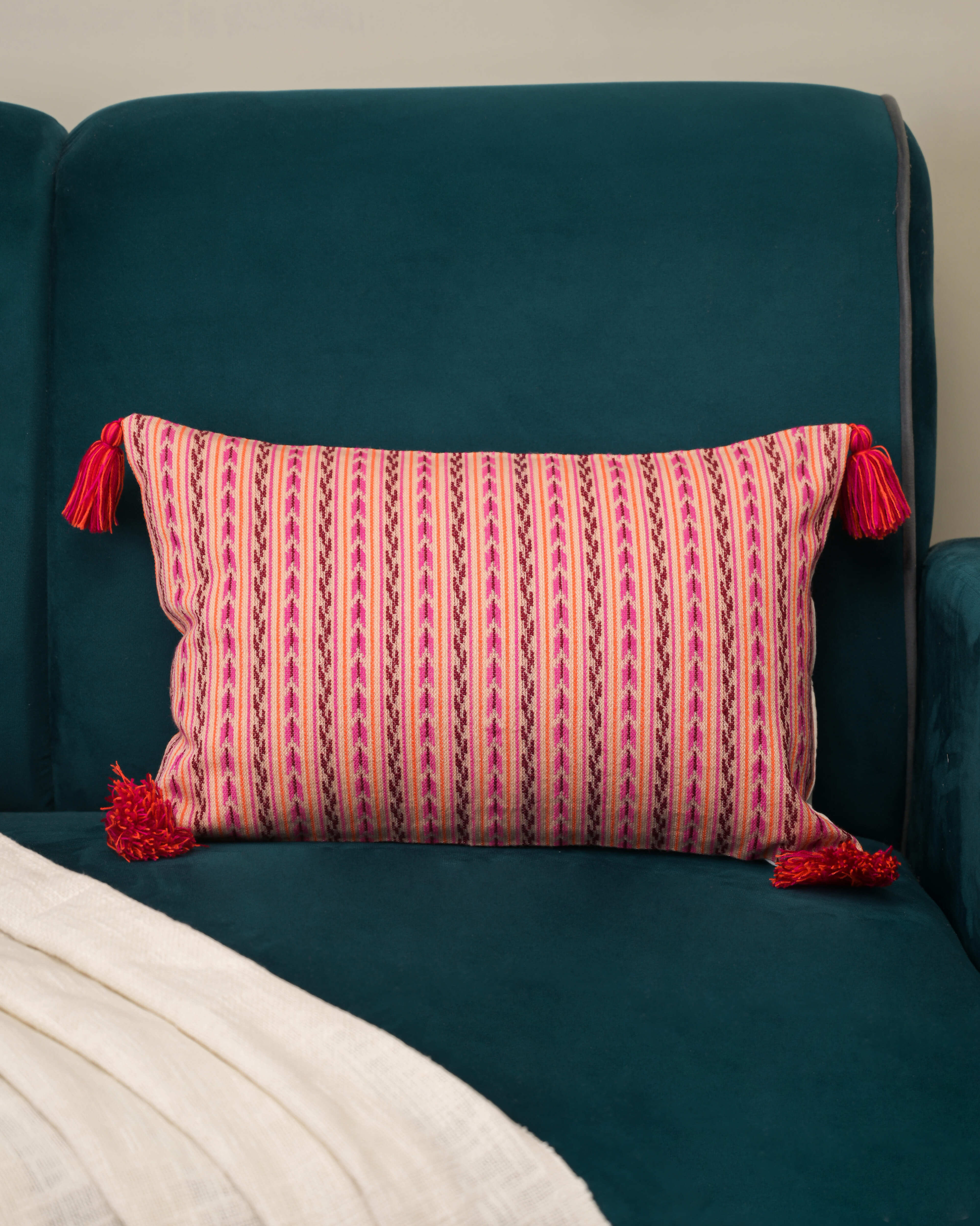 Rani Stripe Tassel Cushion Cover