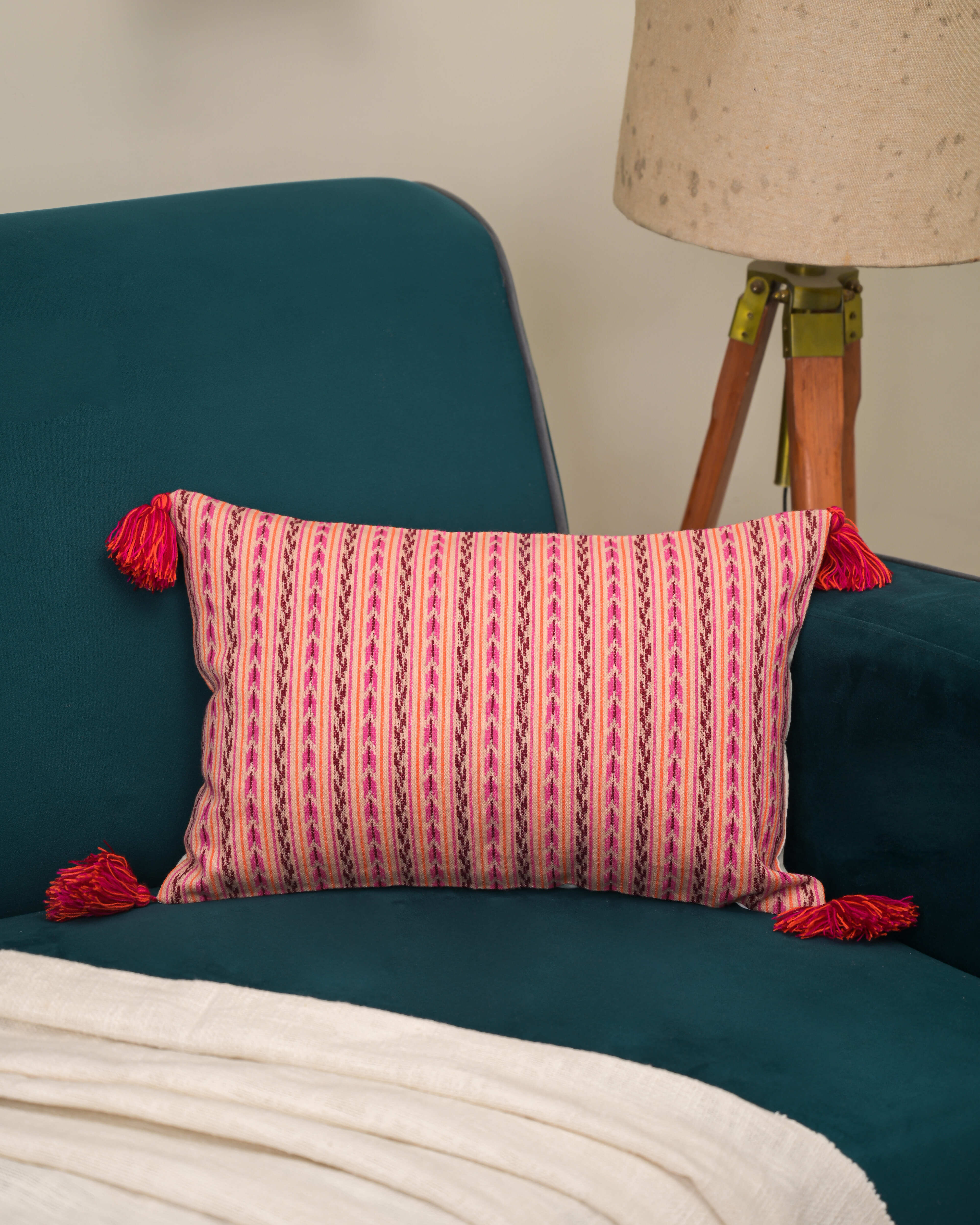 Rani Stripe Tassel Cushion Cover